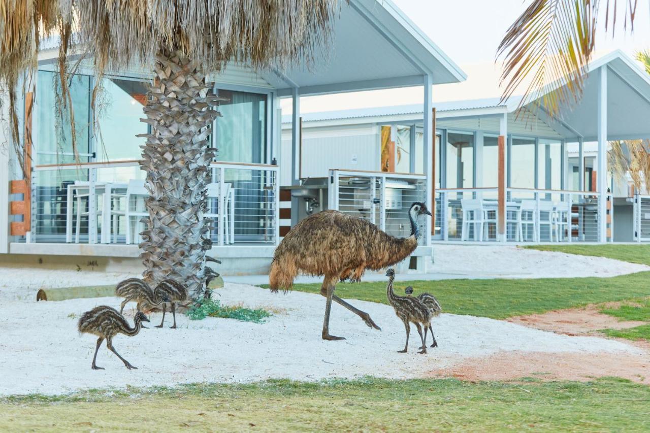 Rac Monkey Mia Dolphin Resort Kültér fotó